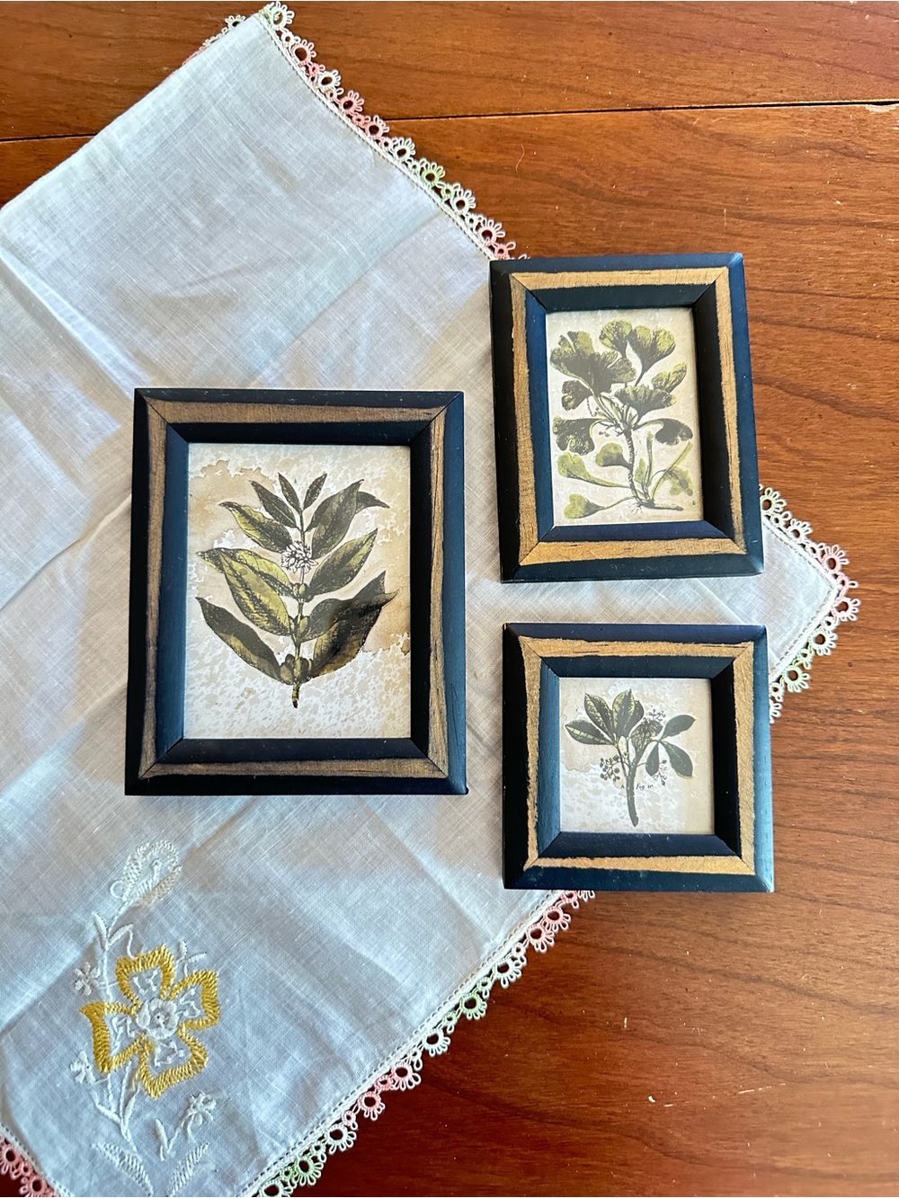 Set 3 Mini Botanical Prints Ginkgo Tea Myrtle Framed Wall Art